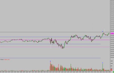 17-02-10-nq-ym.jpg